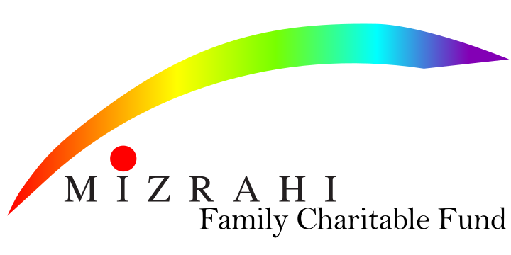 Mizrahi Charitable Fund logo with light spectrum swoop